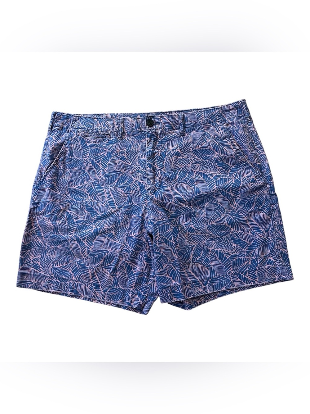 American Eagle Blue Leaf Print Shorts